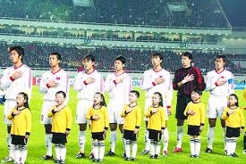 棒球与全球贸易球棒木材来源对亚马逊雨林的影响