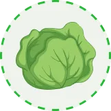 为您呈现精彩体育赛事 - 意昂体育下载