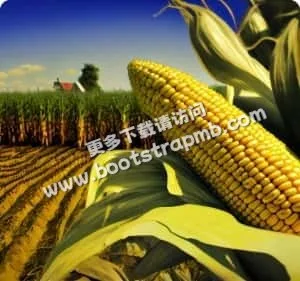 意昂体育：赋能体育爱好者 - 意昂体育下载