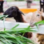 探索体育世界的无限可能 - 意昂体育下载